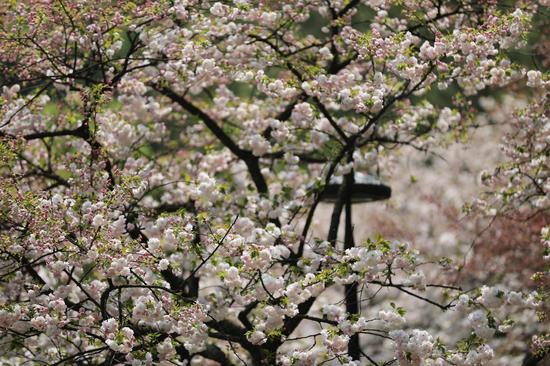 中国男网零零后在哪儿?他刚挑落老年老并强势晋级16强【熊猫体育】(图2) panda sports