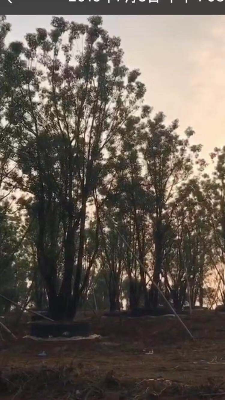 郜林、武磊破门中国队2:0战胜叙利亚队:熊猫体育(图1) panda sports