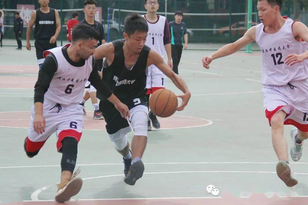 【panda sports】
球场激情洒汗水 针推男篮No. I(图19)