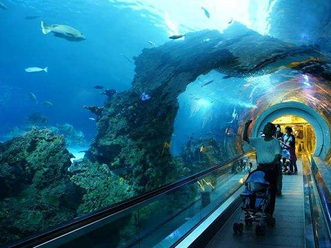 玫瑰再绽放|迎战意大利贾秀全:正确认识对手专注做好自己【熊猫体育】(图2) panda sports