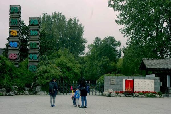 玫瑰再绽放|迎战意大利贾秀全:正确认识对手专注做好自己【熊猫体育】(图4) xiongmao体育