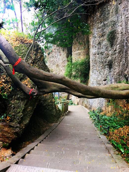 玫瑰再绽放|迎战意大利贾秀全:正确认识对手专注做好自己【熊猫体育】(图3) xiongmao体育