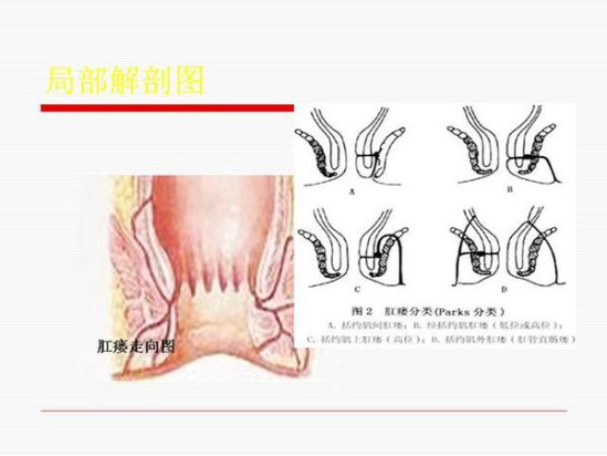 熊猫体育
